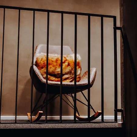 فندق Allgaeuer Genusshotel Und Historischer Dorfgasthof Hirsch 2*