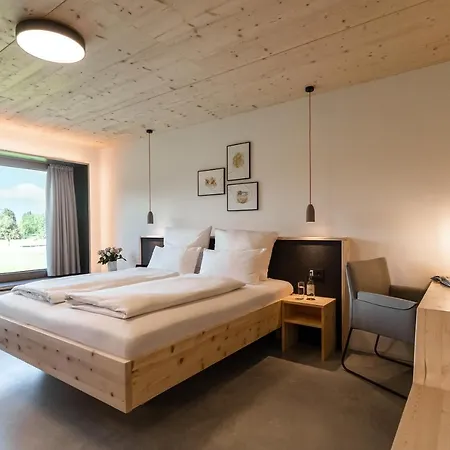 Hotel Allgaeuer Genusshotel Und Historischer Dorfgasthof Hirsch 2*