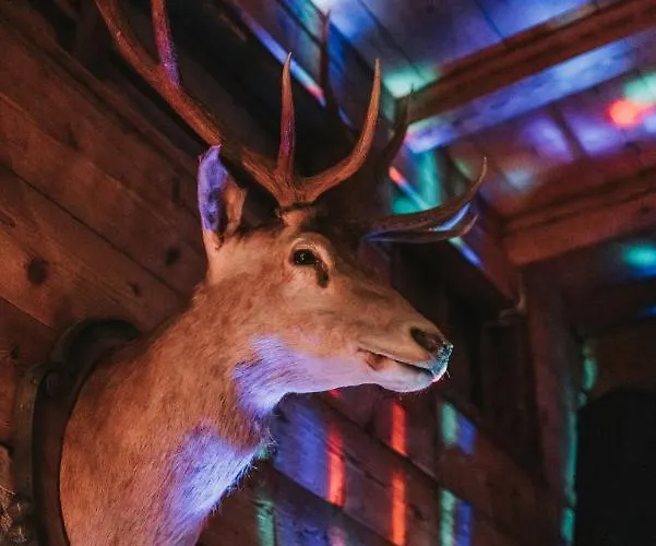 Allgaeuer Genusshotel Und Historischer Dorfgasthof Hirsch 2* Leutkirch im Allgäu