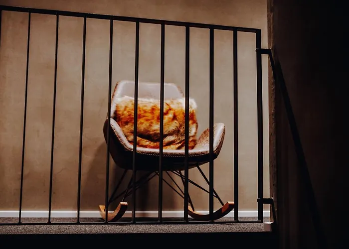 מלון Allgaeuer Genusshotel Und Historischer Dorfgasthof Hirsch 2*